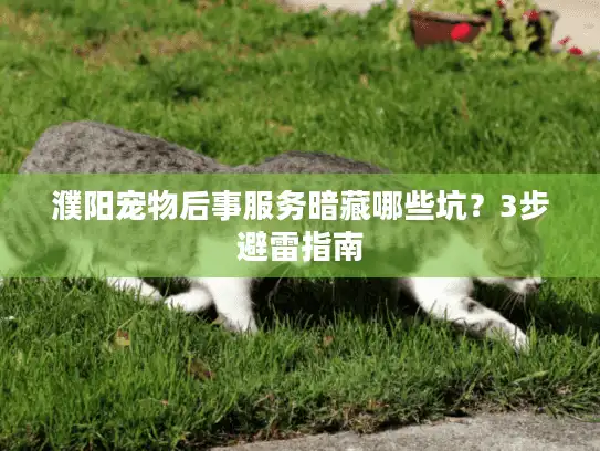 濮阳宠物后事服务暗藏哪些坑？3步避雷指南