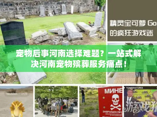 宠物后事河南选择难题？一站式解决河南宠物殡葬服务痛点！