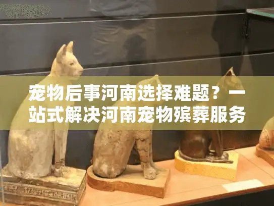 宠物后事河南选择难题？一站式解决河南宠物殡葬服务痛点！