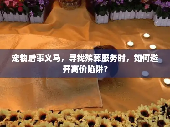 宠物后事义马，寻找殡葬服务时，如何避开高价陷阱？