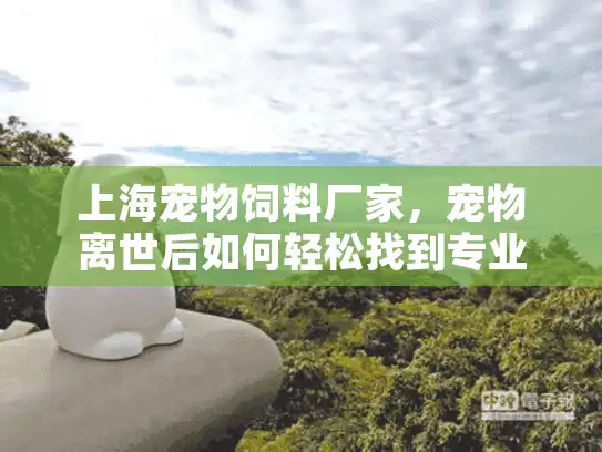 上海宠物饲料厂家，宠物离世后如何轻松找到专业殡葬服务？