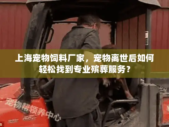 上海宠物饲料厂家，宠物离世后如何轻松找到专业殡葬服务？