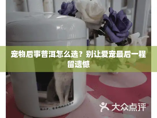 宠物后事普洱怎么选？别让爱宠最后一程留遗憾