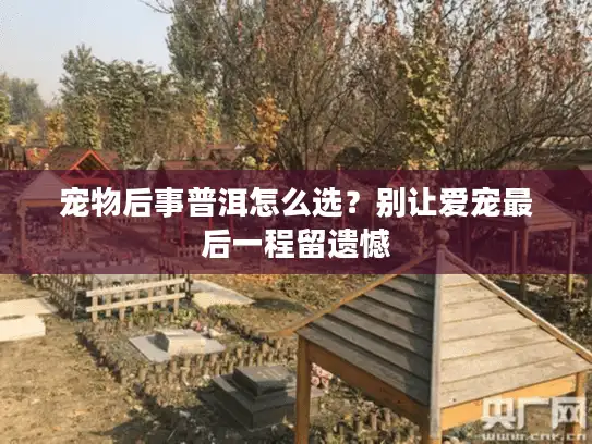 宠物后事普洱怎么选？别让爱宠最后一程留遗憾