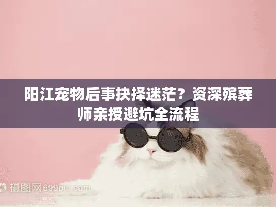 阳江宠物后事抉择迷茫？资深殡葬师亲授避坑全流程