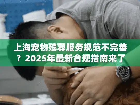 上海宠物殡葬服务规范不完善？2025年最新合规指南来了