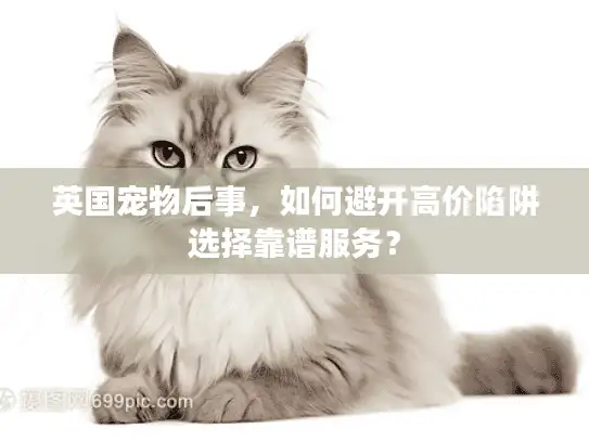英国宠物后事，如何避开高价陷阱选择靠谱服务？