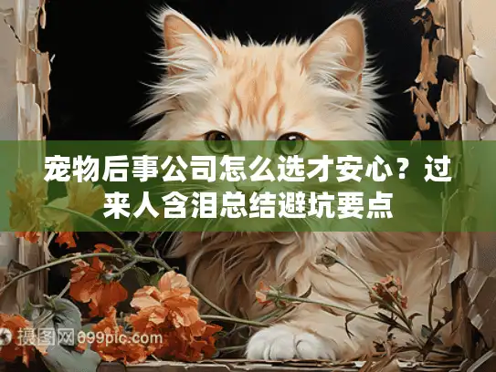宠物后事公司怎么选才安心？过来人含泪总结避坑要点