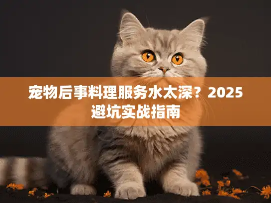 宠物后事料理服务水太深？2025避坑实战指南
