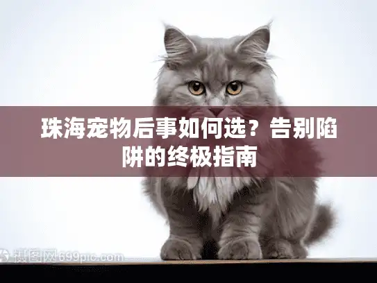 珠海宠物后事如何选？告别陷阱的终极指南
