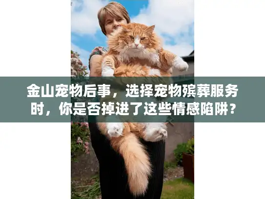 金山宠物后事，选择宠物殡葬服务时，你是否掉进了这些情感陷阱？