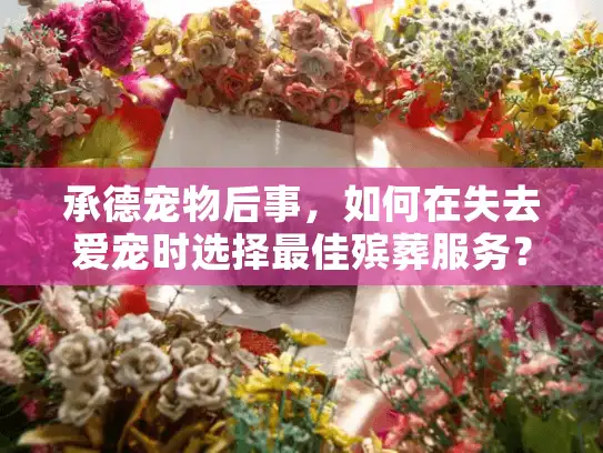 承德宠物后事，如何在失去爱宠时选择最佳殡葬服务？