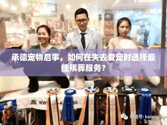 承德宠物后事，如何在失去爱宠时选择最佳殡葬服务？