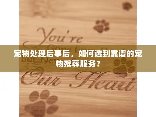 宠物处理后事后，如何选到靠谱的宠物殡葬服务？