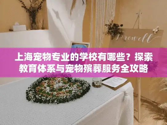 上海宠物专业的学校有哪些？探索教育体系与宠物殡葬服务全攻略