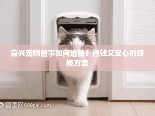 嘉兴宠物后事如何选择？省钱又安心的终极方案