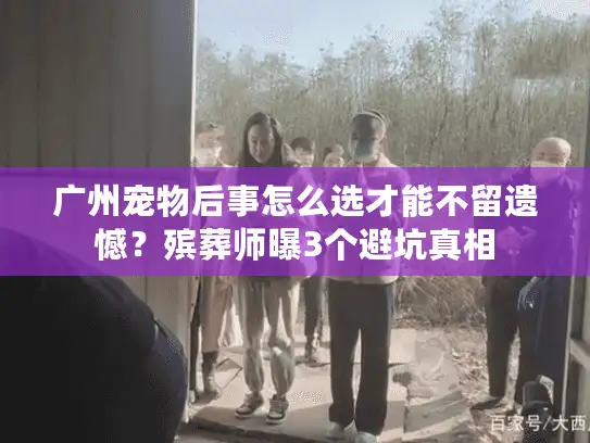 广州宠物后事怎么选才能不留遗憾？殡葬师曝3个避坑真相