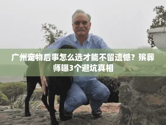 广州宠物后事怎么选才能不留遗憾？殡葬师曝3个避坑真相