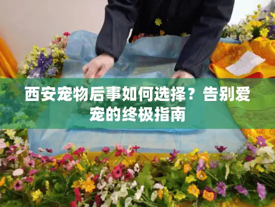 西安宠物后事如何选择？告别爱宠的终极指南