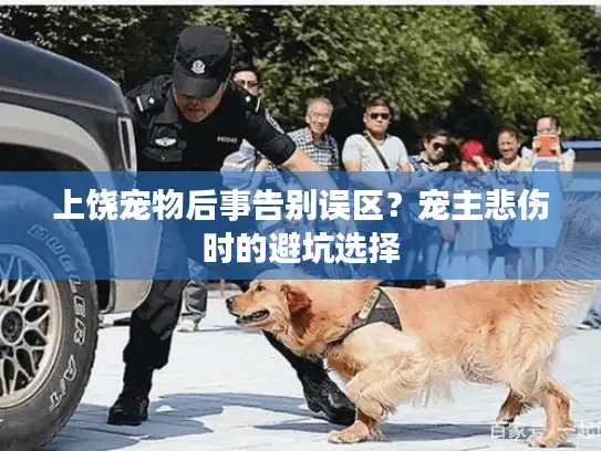 上饶宠物后事告别误区？宠主悲伤时的避坑选择