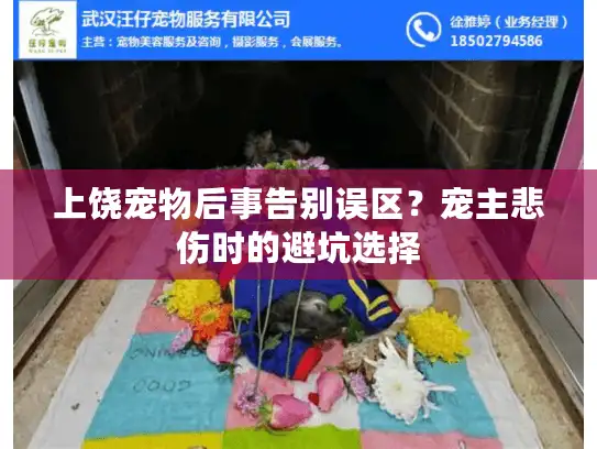 上饶宠物后事告别误区？宠主悲伤时的避坑选择
