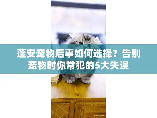 蓬安宠物后事如何选择？告别宠物时你常犯的5大失误