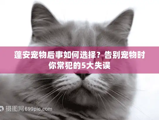 蓬安宠物后事如何选择？告别宠物时你常犯的5大失误