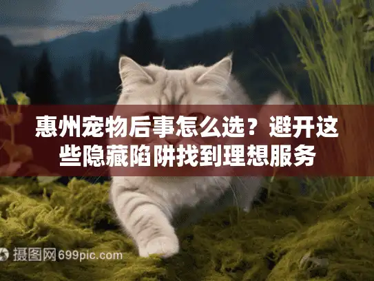 惠州宠物后事怎么选？避开这些隐藏陷阱找到理想服务