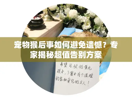 宠物猴后事如何避免遗憾？专家揭秘超值告别方案