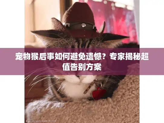 宠物猴后事如何避免遗憾？专家揭秘超值告别方案
