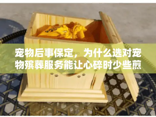 宠物后事保定，为什么选对宠物殡葬服务能让心碎时少些煎熬？