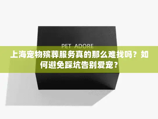 上海宠物殡葬服务真的那么难找吗？如何避免踩坑告别爱宠？