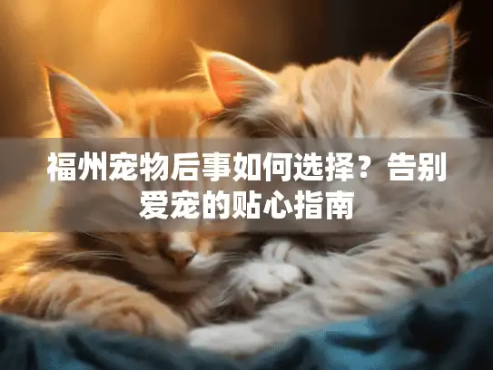 福州宠物后事如何选择？告别爱宠的贴心指南