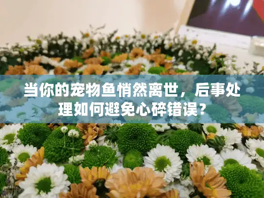 当你的宠物鱼悄然离世，后事处理如何避免心碎错误？