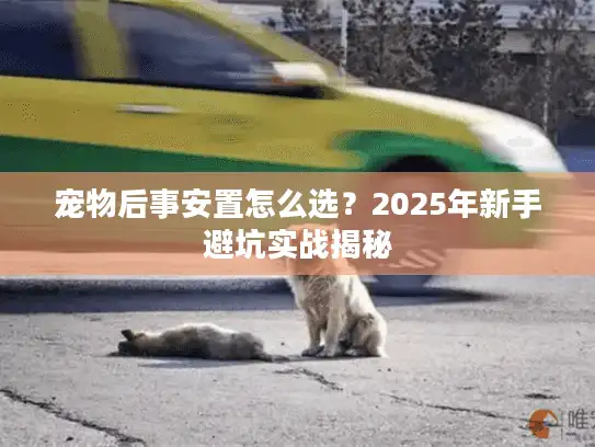 宠物后事安置怎么选？2025年新手避坑实战揭秘