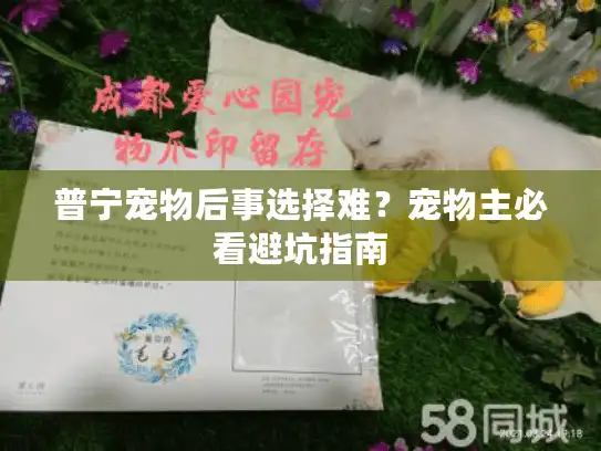 普宁宠物后事选择难？宠物主必看避坑指南