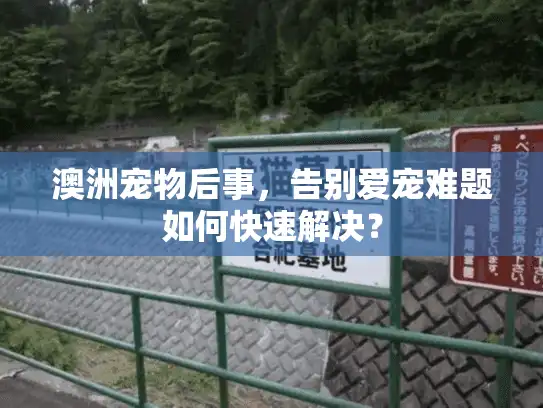 澳洲宠物后事，告别爱宠难题如何快速解决？