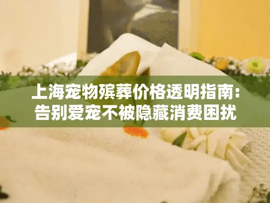 上海宠物殡葬价格透明指南:告别爱宠不被隐藏消费困扰