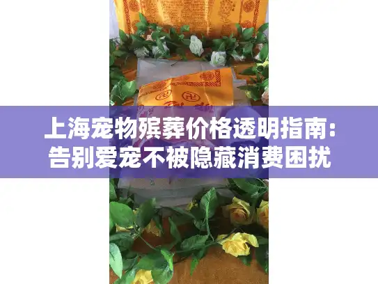 上海宠物殡葬价格透明指南:告别爱宠不被隐藏消费困扰