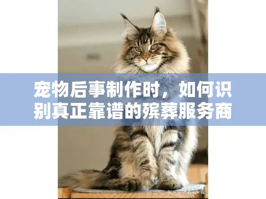 宠物后事制作时，如何识别真正靠谱的殡葬服务商？