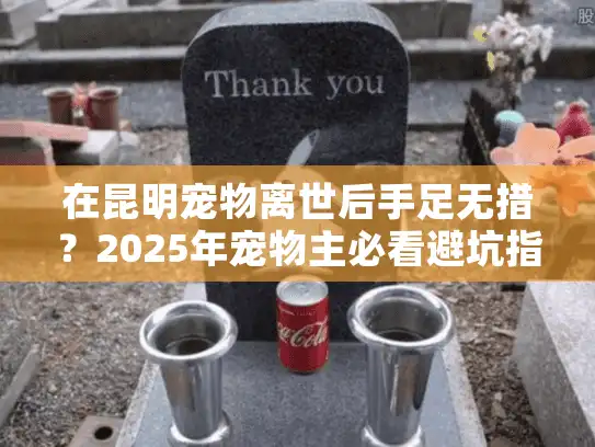 在昆明宠物离世后手足无措？2025年宠物主必看避坑指南