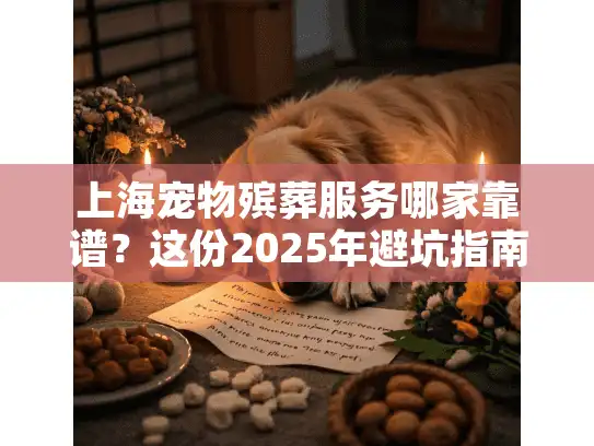 上海宠物殡葬服务哪家靠谱？这份2025年避坑指南请收好