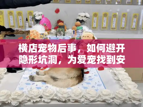 横店宠物后事，如何避开隐形坑洞，为爱宠找到安心告别方案？