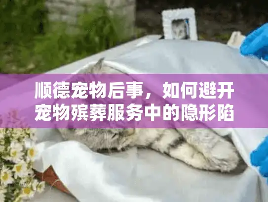 顺德宠物后事，如何避开宠物殡葬服务中的隐形陷阱？
