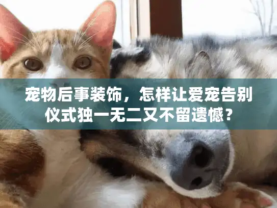 宠物后事装饰，怎样让爱宠告别仪式独一无二又不留遗憾？