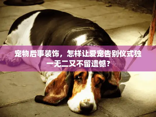 宠物后事装饰，怎样让爱宠告别仪式独一无二又不留遗憾？