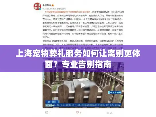 上海宠物葬礼服务如何让离别更体面？专业告别指南