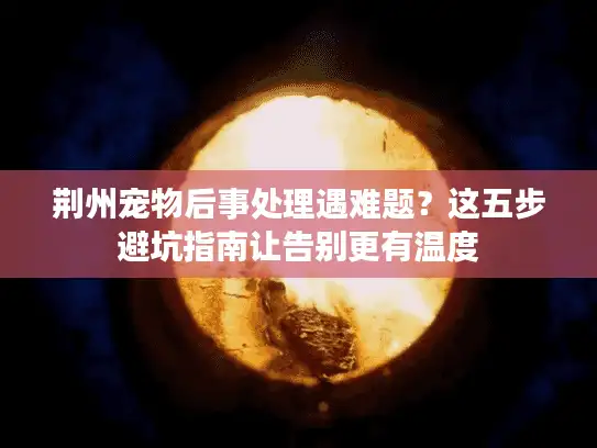 荆州宠物后事处理遇难题？这五步避坑指南让告别更有温度