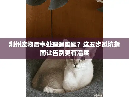荆州宠物后事处理遇难题？这五步避坑指南让告别更有温度
