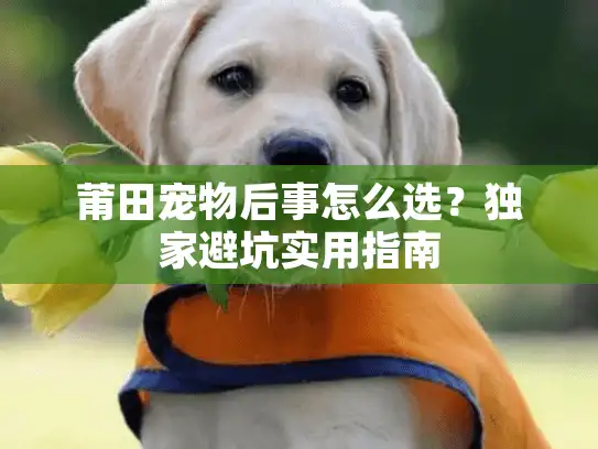 莆田宠物后事怎么选？独家避坑实用指南